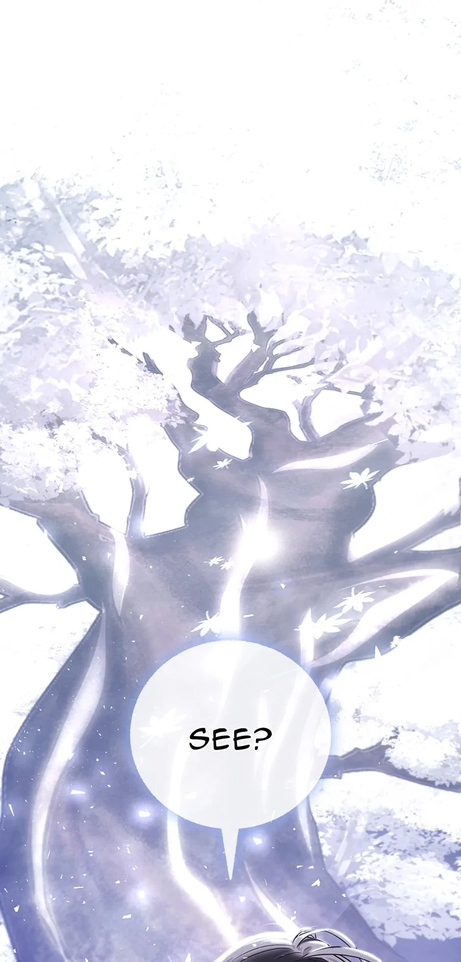Shadow of the Supreme Chapter 24 - 27
