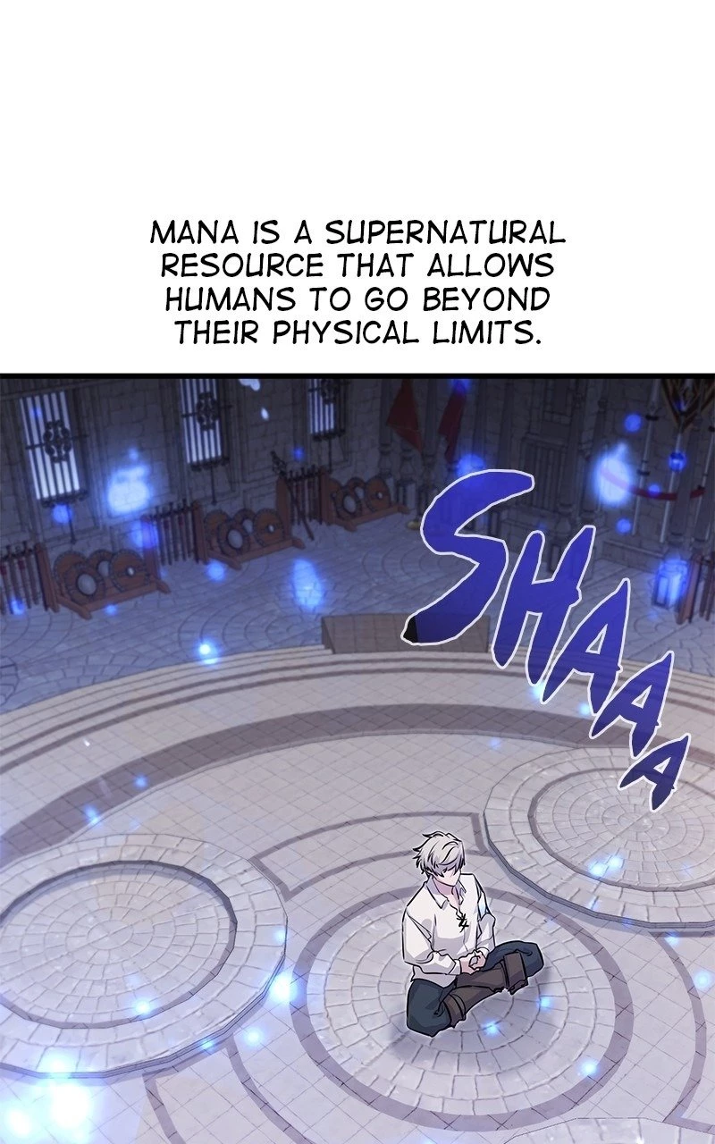 The Regressed Mercenary Has a Plan Chapter 3 - 95
