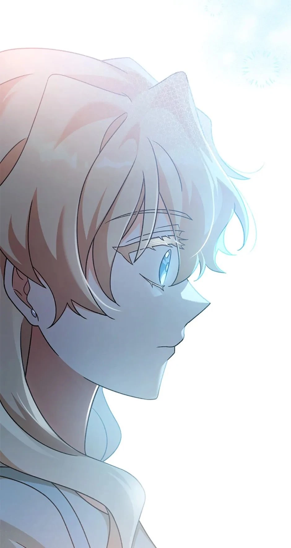 The Novel’s Extra Chapter 90 - 17