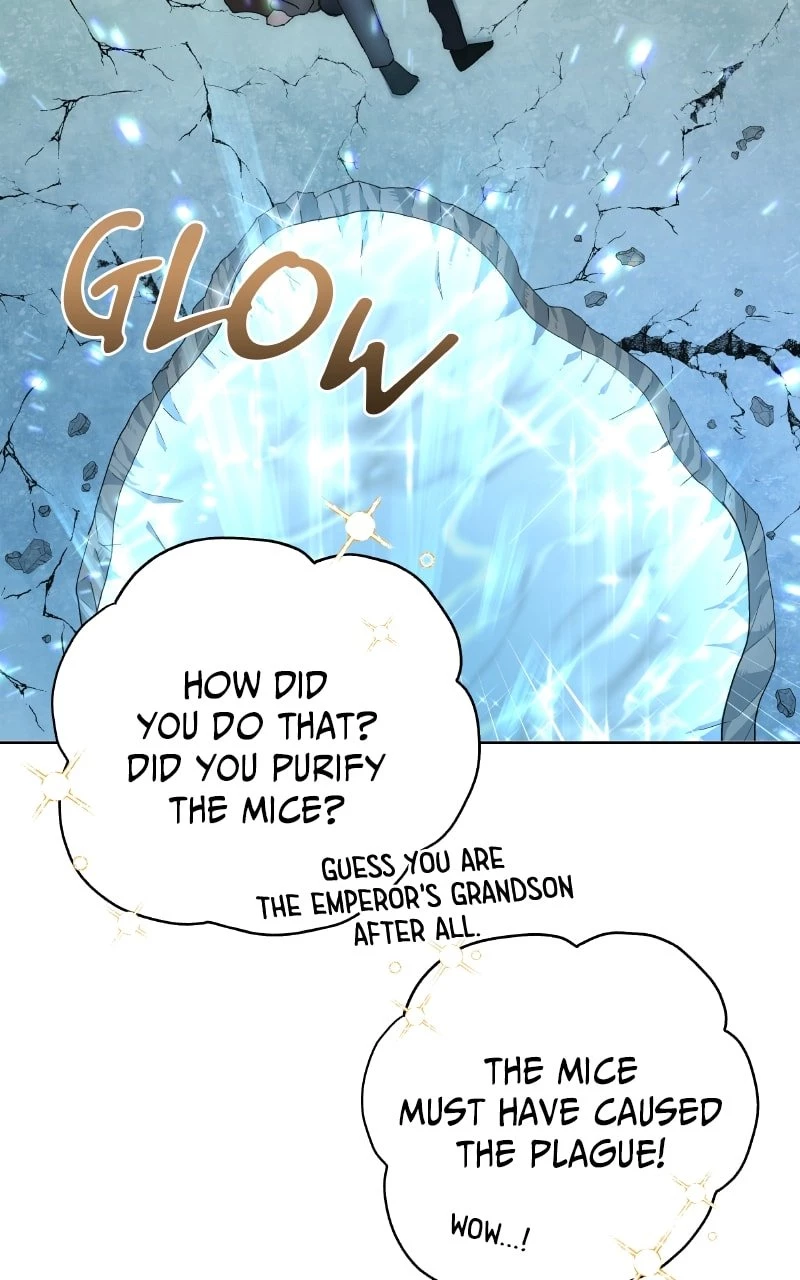 The Holy Emperor's Grandson Is a Necromancer Chapter 2 - 63
