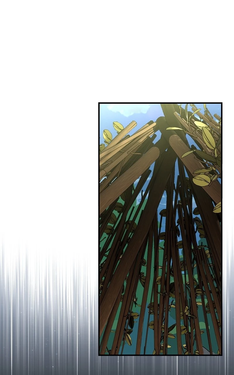The Extra's Academy Survival Guide Chapter 26 - 138