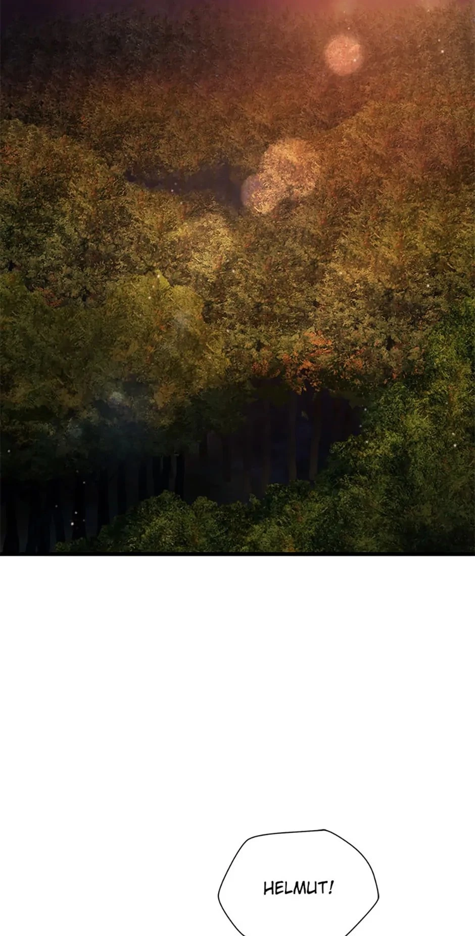 Helmut: The Forsaken Child Chapter 72 - 4
