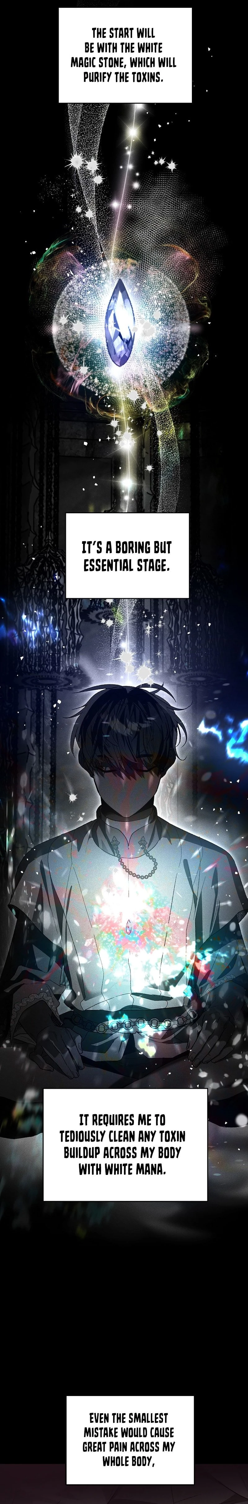 I Became the Genius Bastard of a Noble Dark Clan Chapter 2 - 17