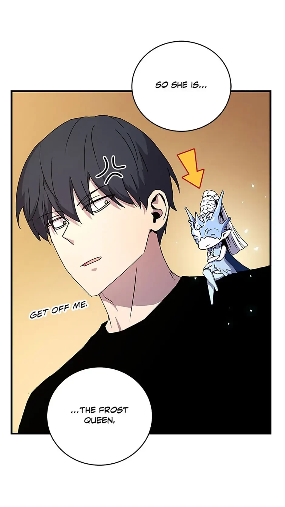 Return of The Frozen Player Chapter 48 - 17