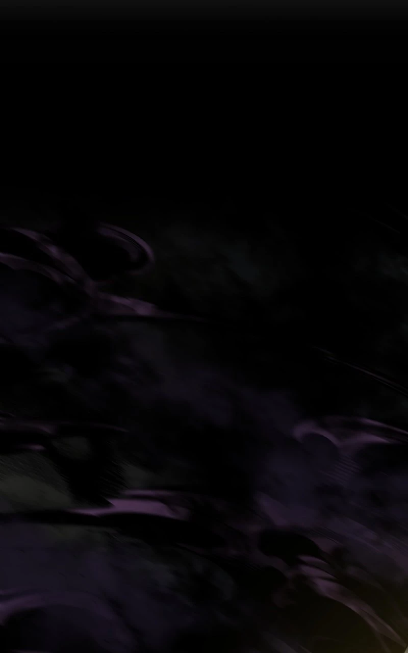 Boundless Ascension Chapter 28 - 165