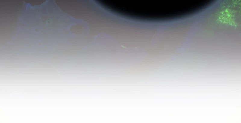 Villain to Kill Chapter 5 - 99