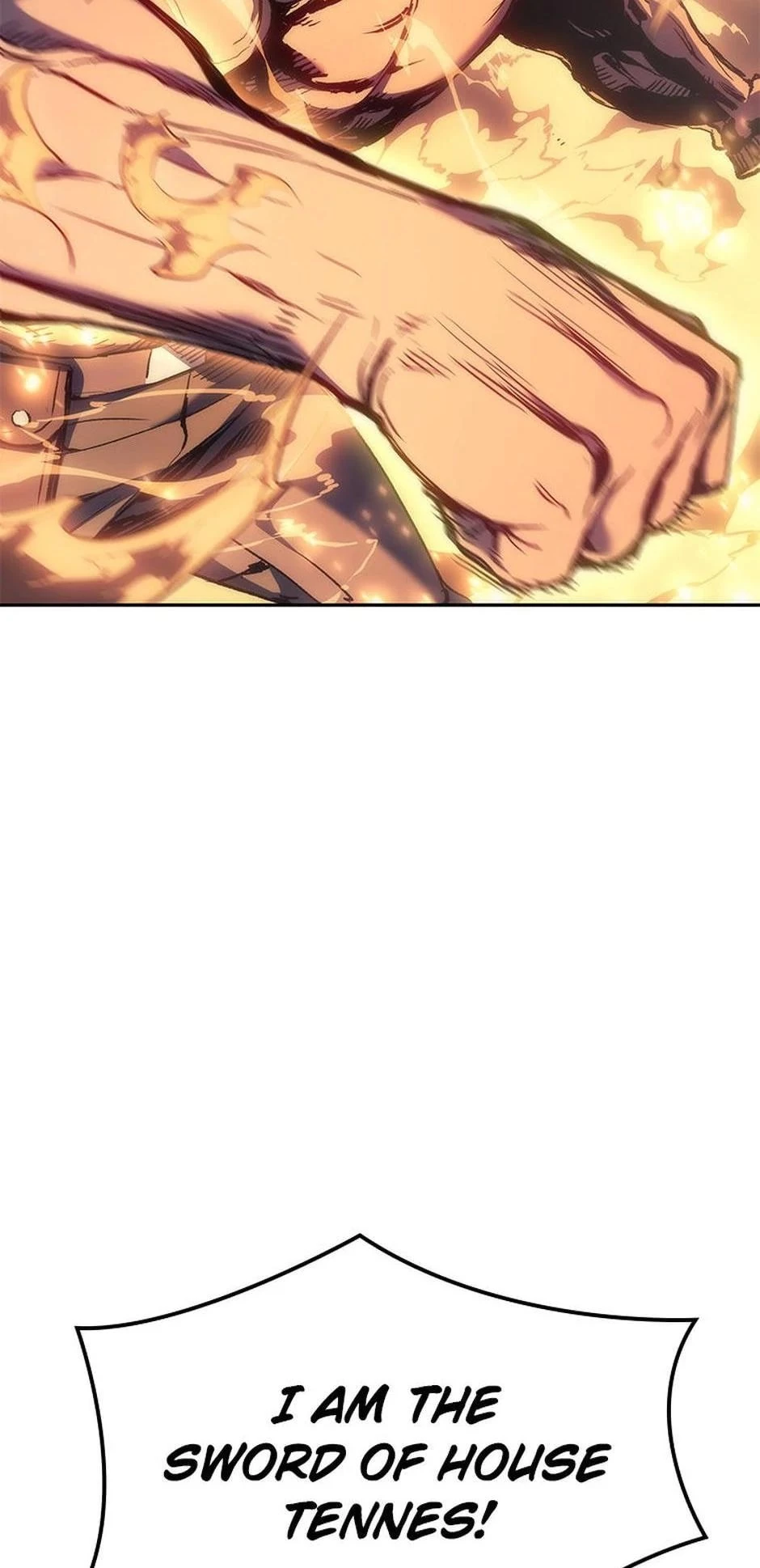 The Reincarnated King of Fists Chapter 30 - 17