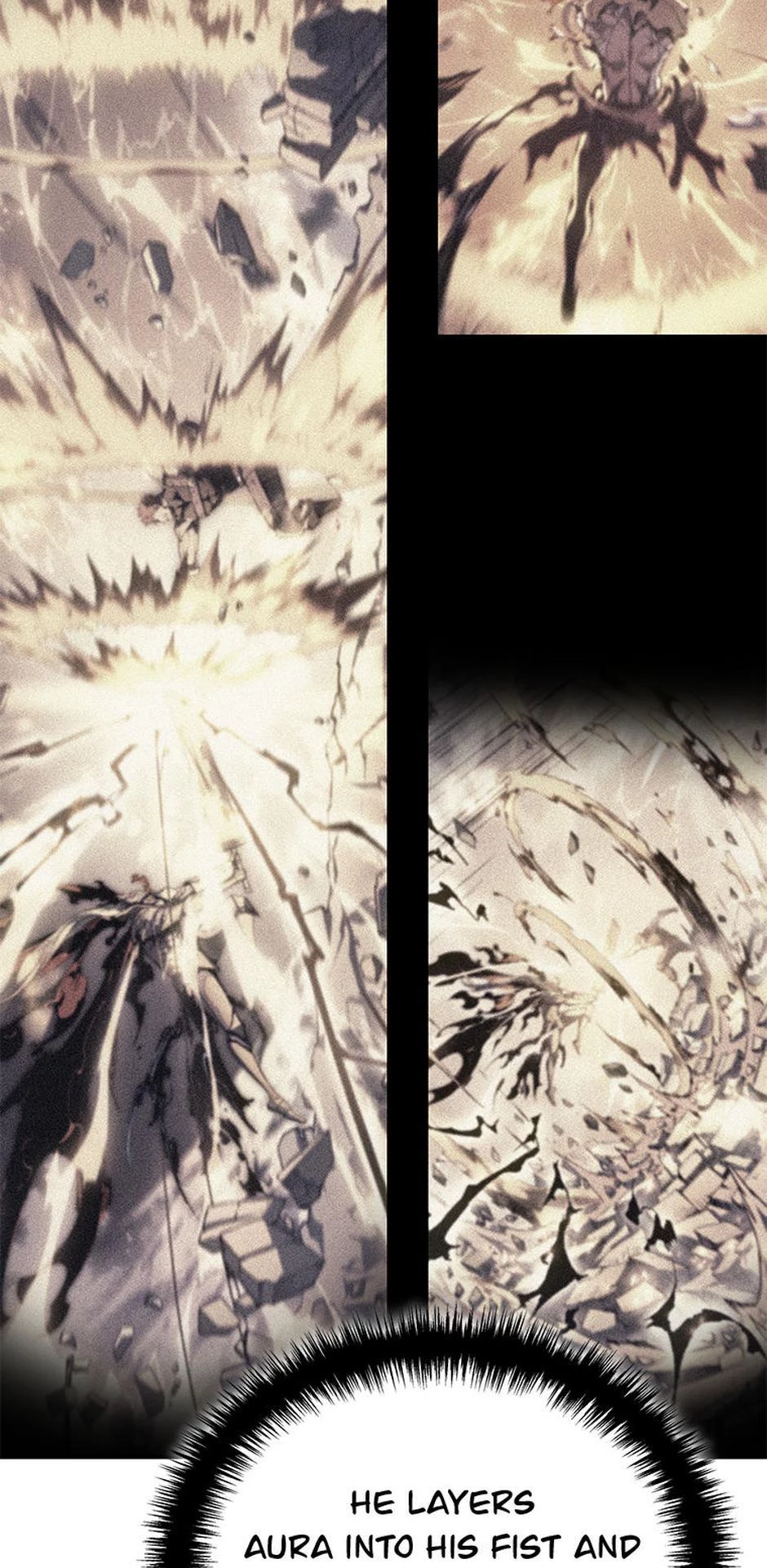 The Reincarnated King of Fists Chapter 29 - 24