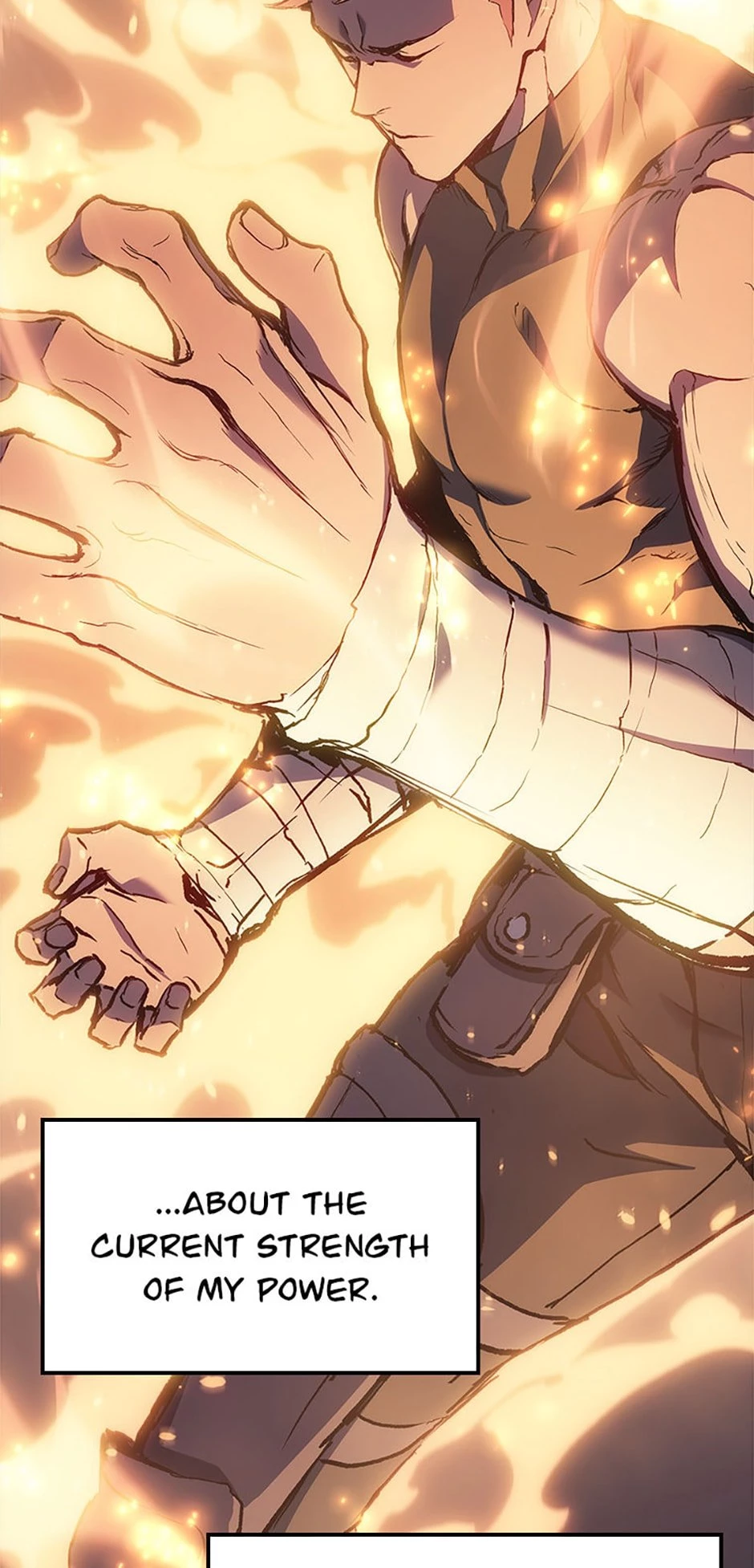 The Reincarnated King of Fists Chapter 10 - 95