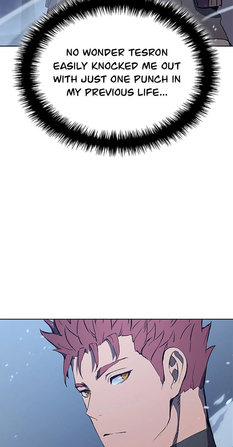 The Reincarnated King of Fists Chapter 8 - 101