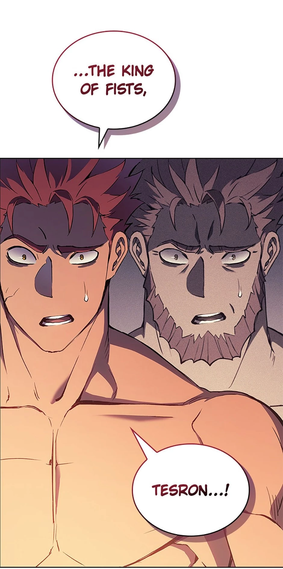 The Reincarnated King of Fists Chapter 2 - 15