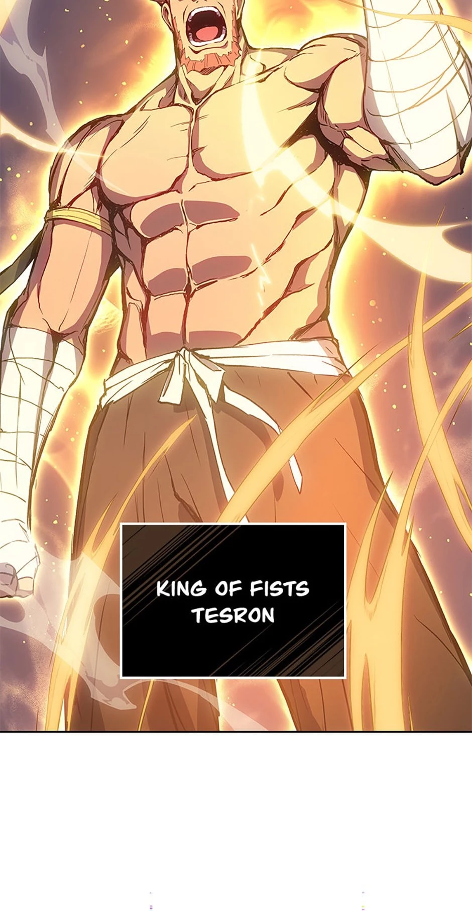 The Reincarnated King of Fists Chapter 1 - 23