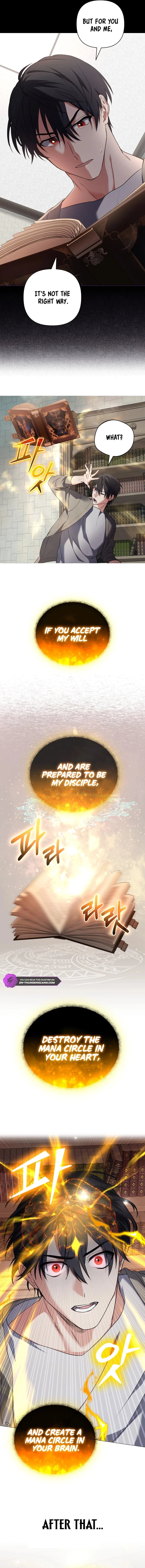The Reincarnation of the Great Mage in Myth Chapter 2 - 10
