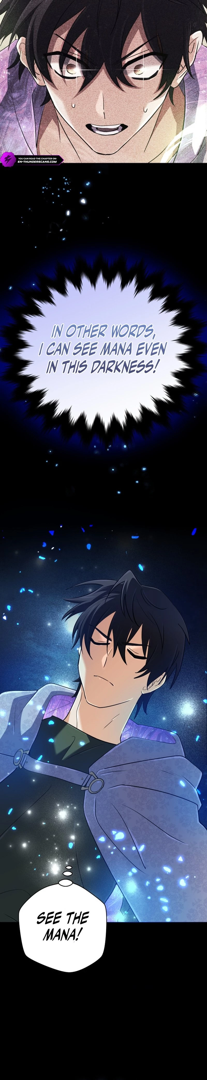 The Reincarnation of the Great Mage in Myth Chapter 42 - 10