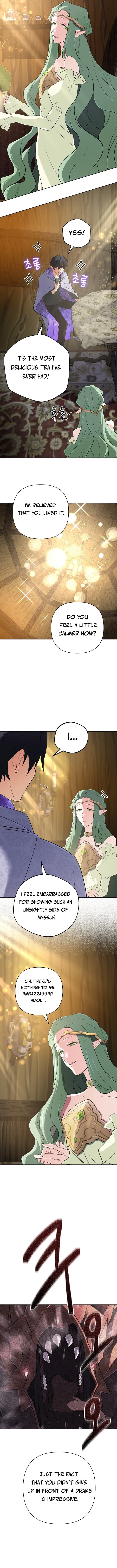 The Reincarnation of the Great Mage in Myth Chapter 40 - 8
