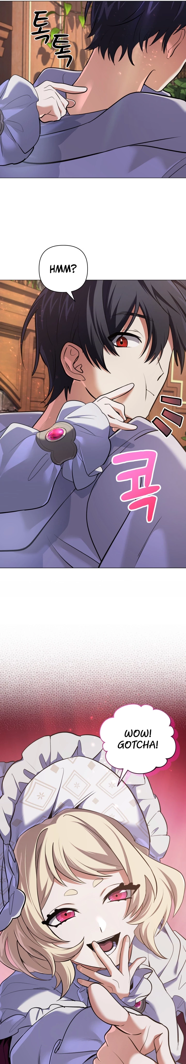 The Reincarnation of the Great Mage in Myth Chapter 27 - 25