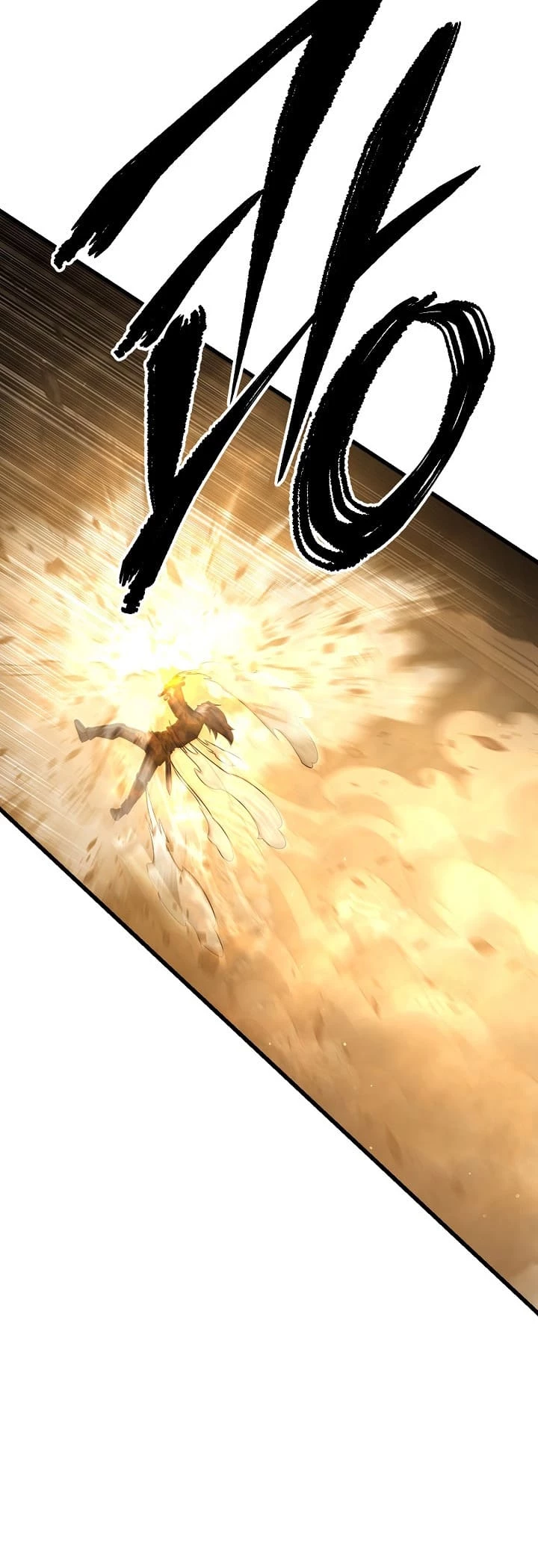 Disciple of the Three Kings Chapter 5 - 48