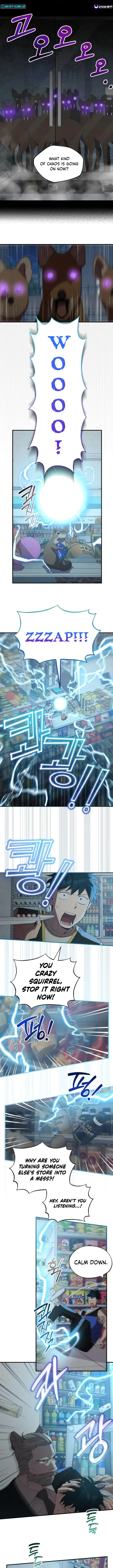 Magical Realm Shopkeeper Chapter 61 - 9