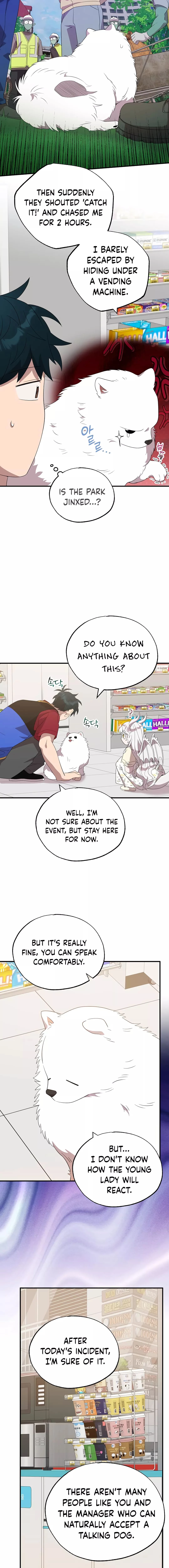 Magical Realm Shopkeeper Chapter 47 - 9