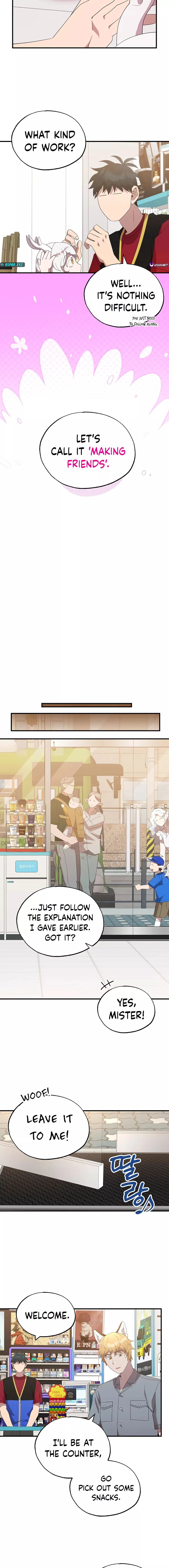Magical Realm Shopkeeper Chapter 47 - 13