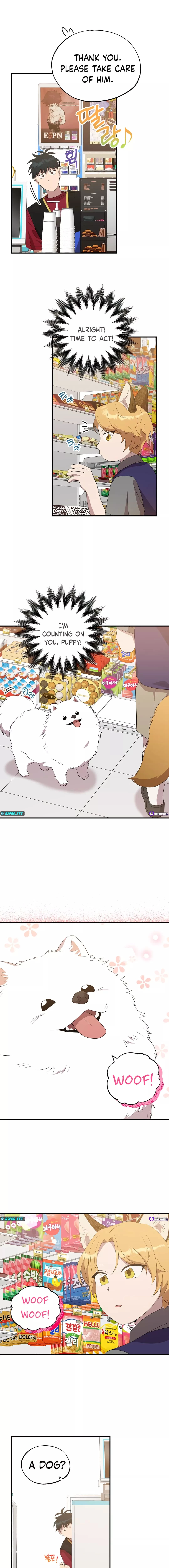 Magical Realm Shopkeeper Chapter 47 - 15