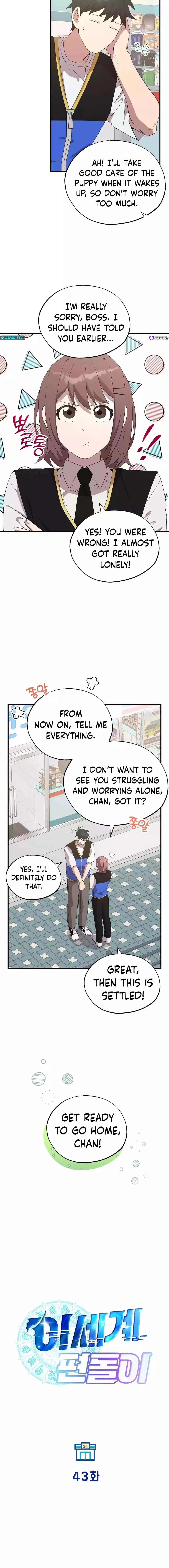 Magical Realm Shopkeeper Chapter 43 - 9