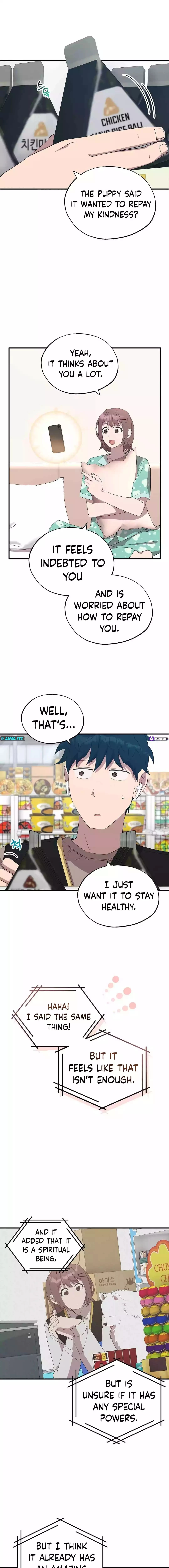 Magical Realm Shopkeeper Chapter 43 - 10