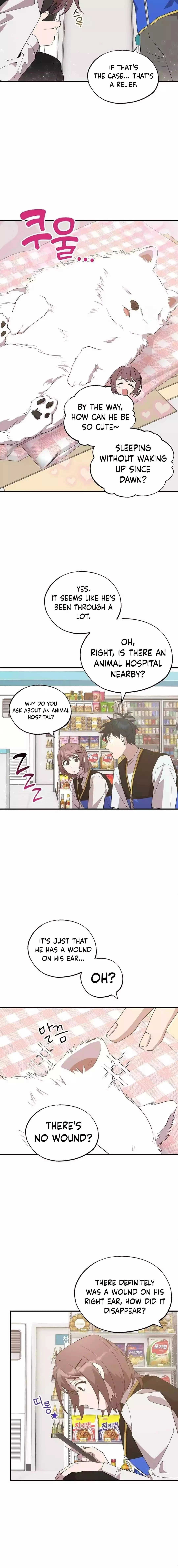 Magical Realm Shopkeeper Chapter 42 - 13