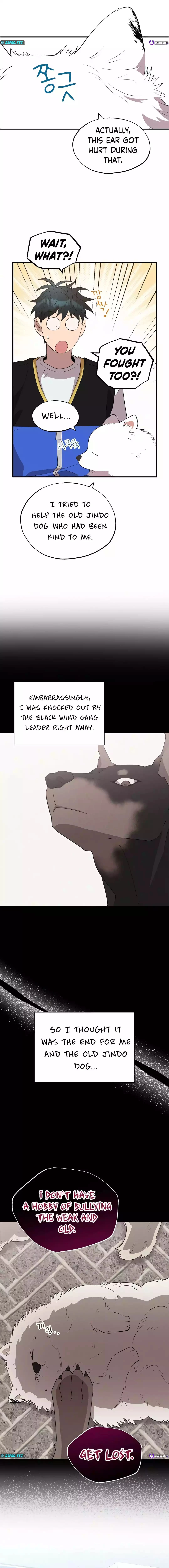 Magical Realm Shopkeeper Chapter 40 - 12