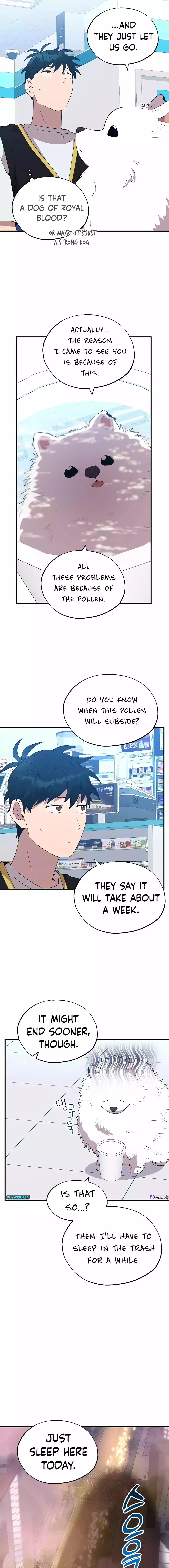 Magical Realm Shopkeeper Chapter 40 - 13