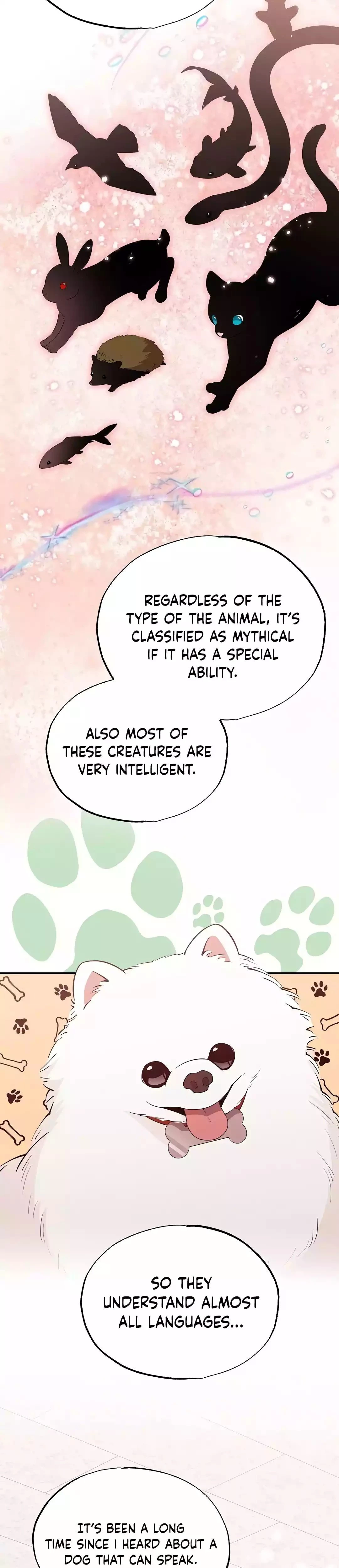 Magical Realm Shopkeeper Chapter 17 - 23
