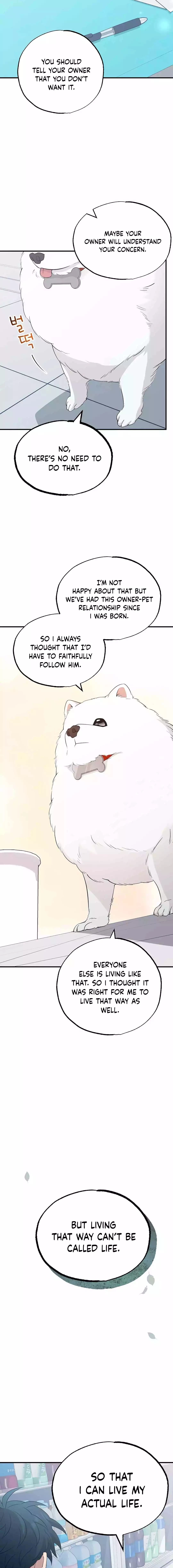 Magical Realm Shopkeeper Chapter 15 - 7