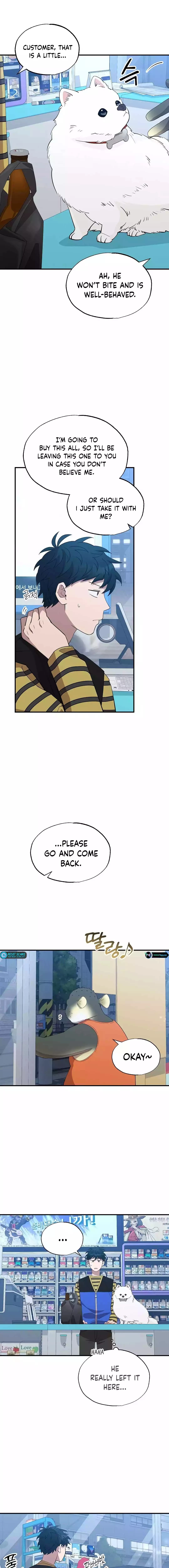 Magical Realm Shopkeeper Chapter 14 - 5
