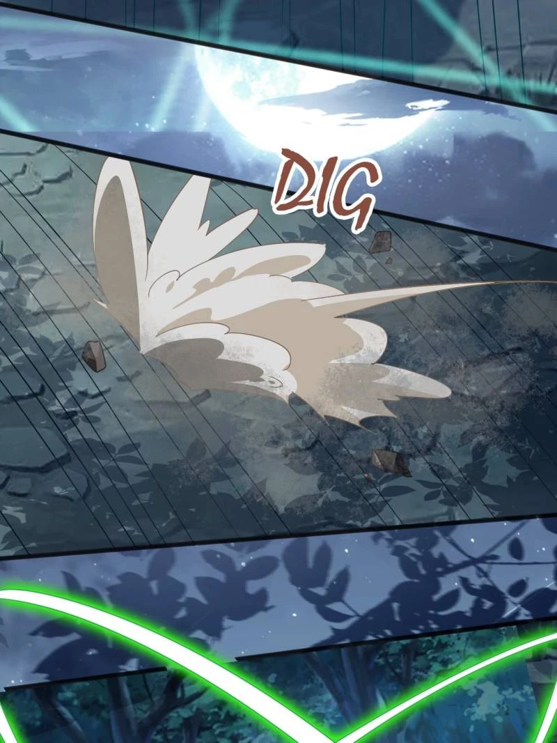 Sir, Don't Show Off Chapter 125 - 24