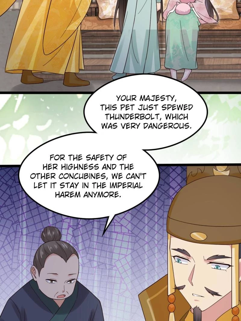 Sir, Don't Show Off Chapter 112 - 26