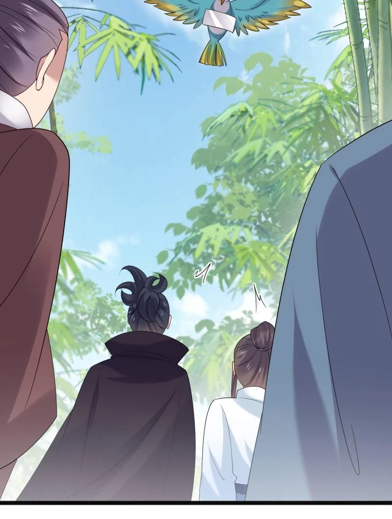 Sir, Don't Show Off Chapter 102 - 28