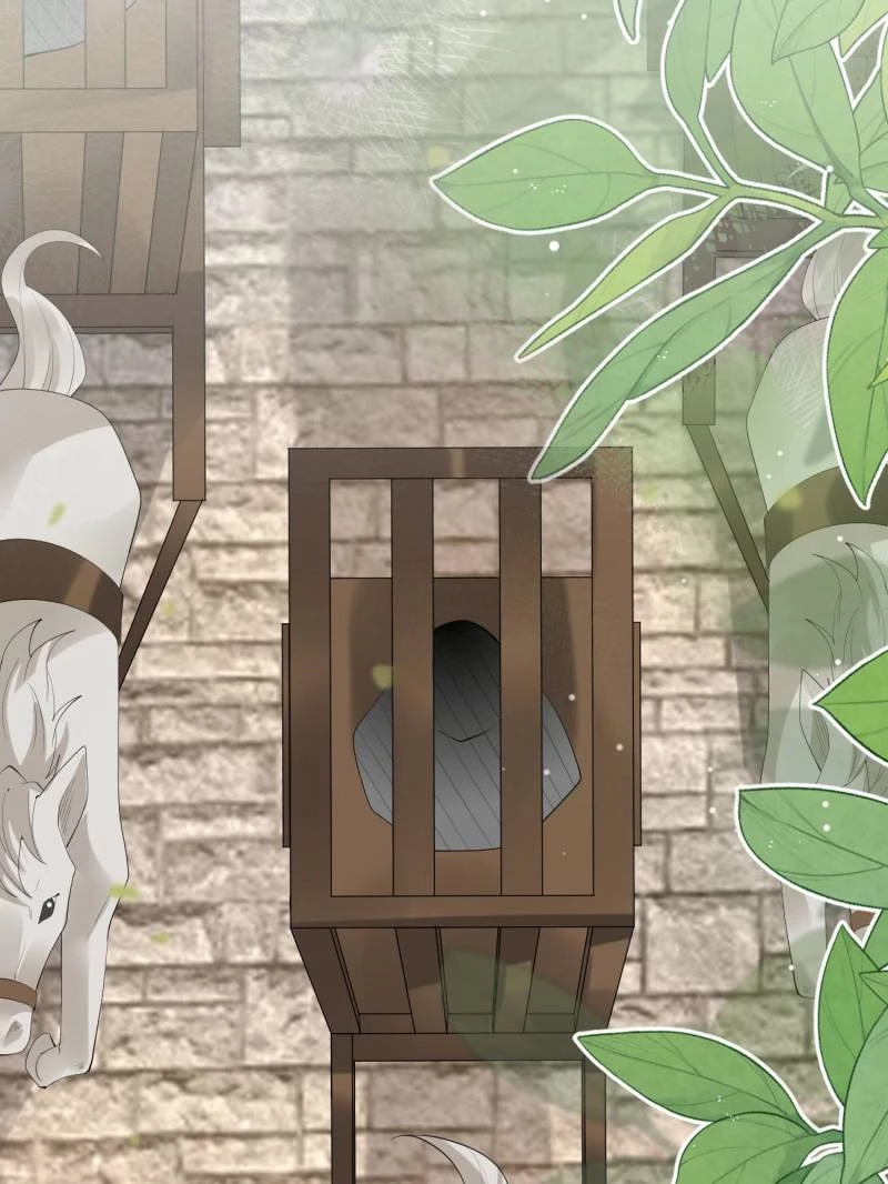 Sir, Don't Show Off Chapter 95 - 10
