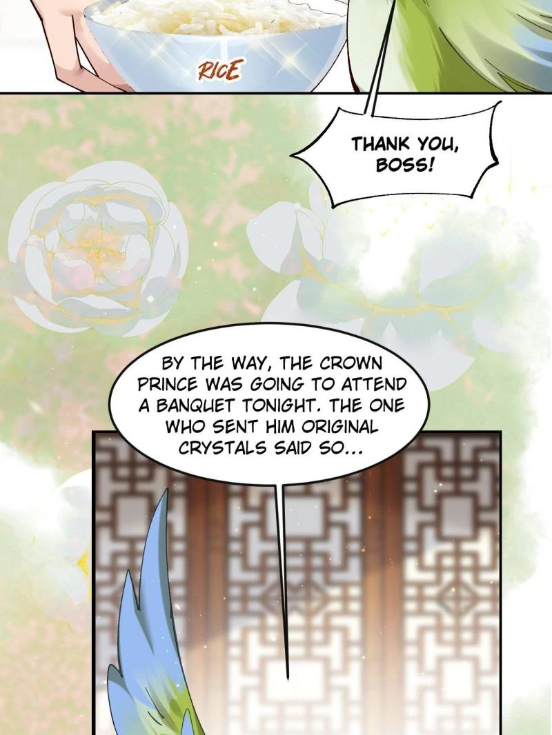 Sir, Don't Show Off Chapter 78 - 31