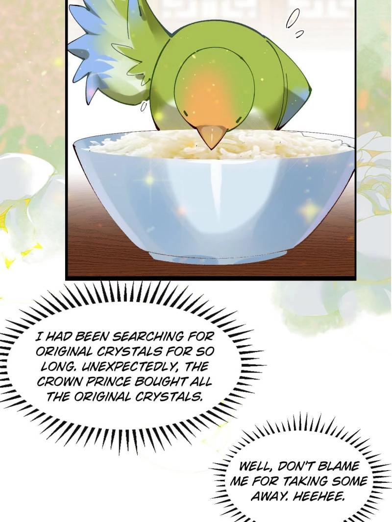 Sir, Don't Show Off Chapter 78 - 32