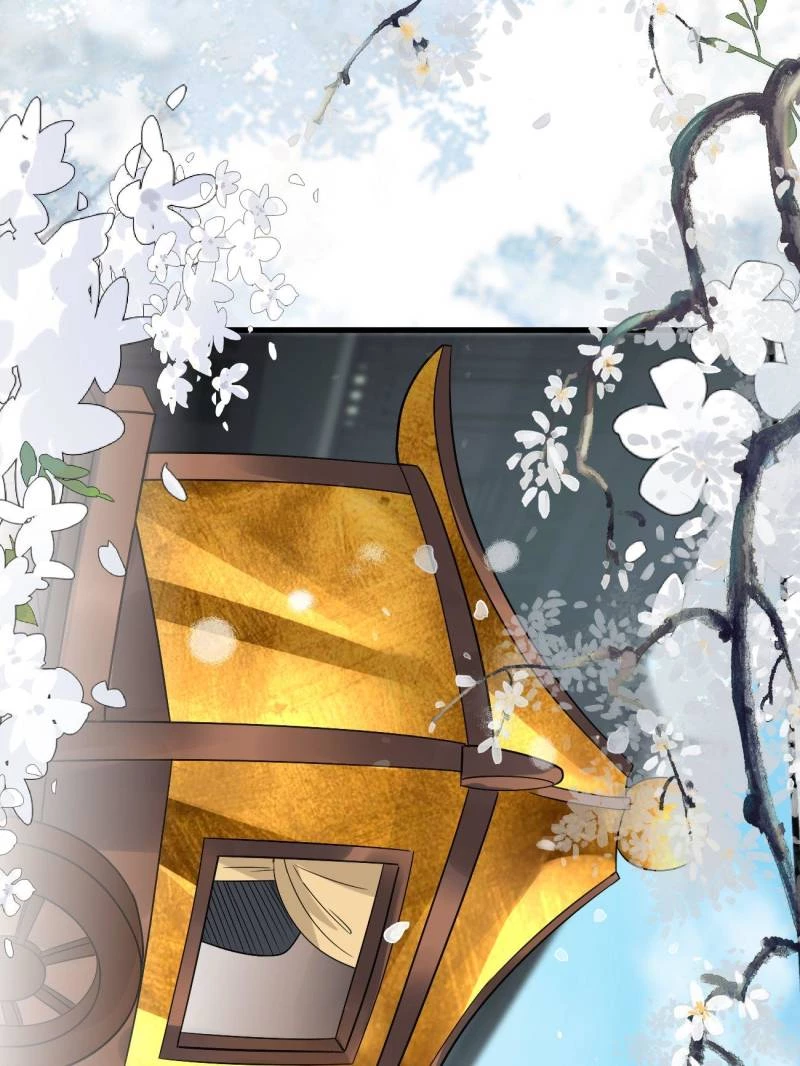 Sir, Don't Show Off Chapter 74 - 38