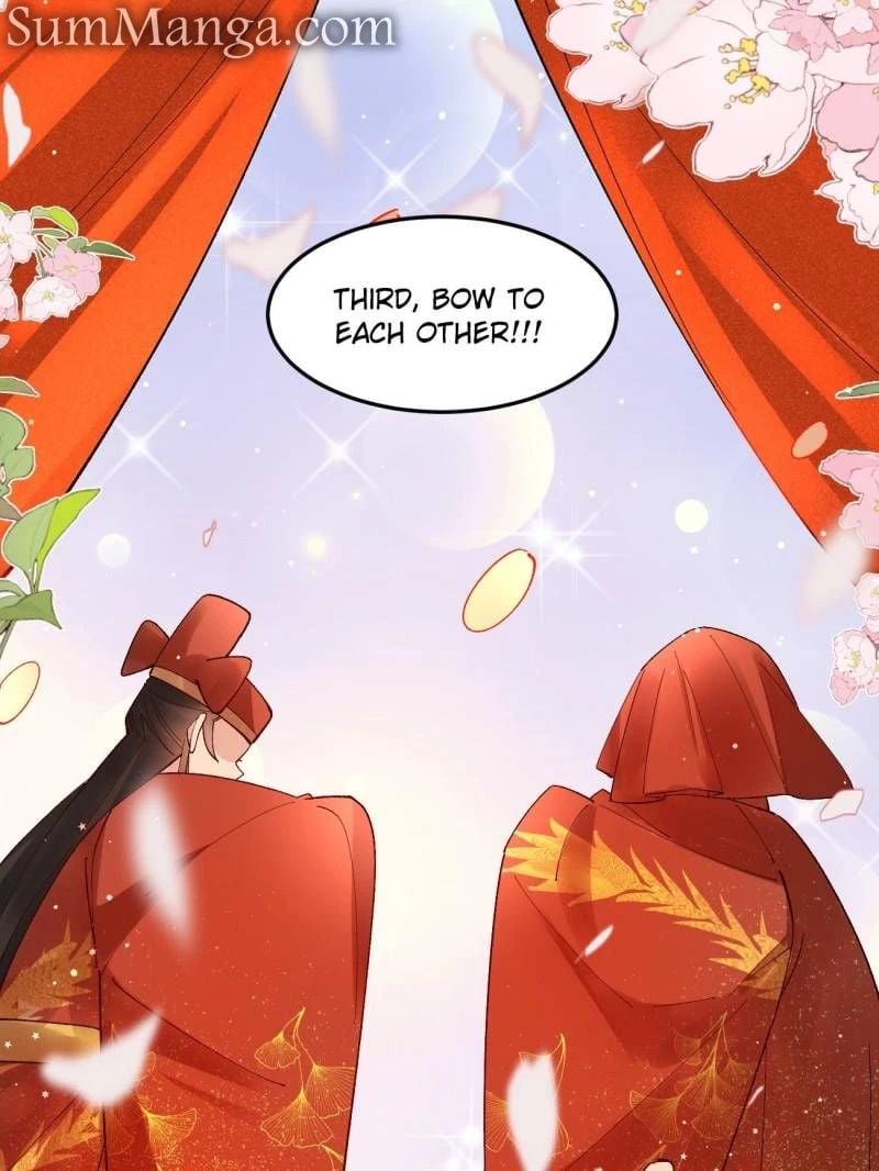 Sir, Don't Show Off Chapter 67 - 29