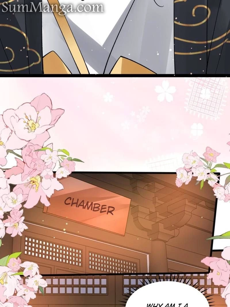 Sir, Don't Show Off Chapter 67 - 41