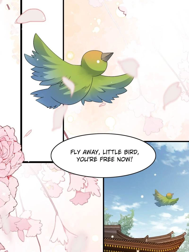 Sir, Don't Show Off Chapter 63 - 40