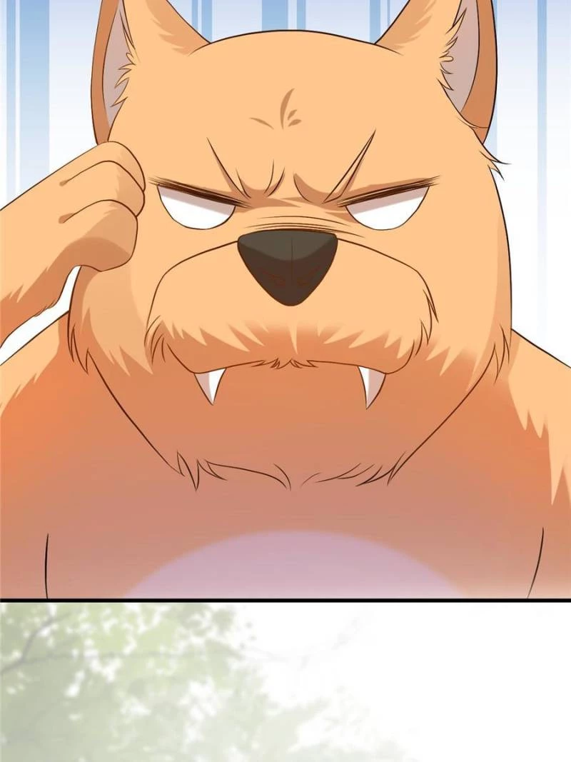 Sir, Don't Show Off Chapter 43 - 29