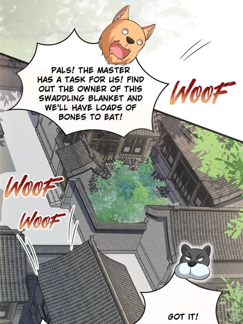 Sir, Don't Show Off Chapter 43 - 30