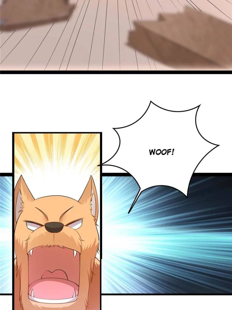 Sir, Don't Show Off Chapter 43 - 40