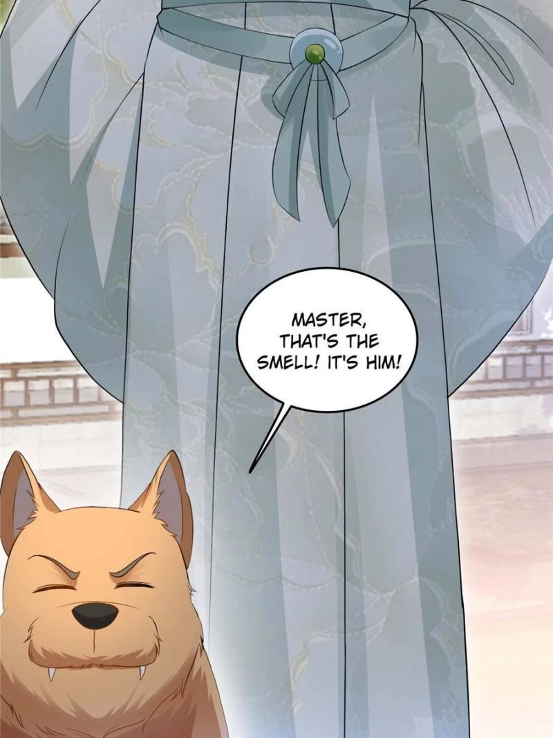 Sir, Don't Show Off Chapter 43 - 42