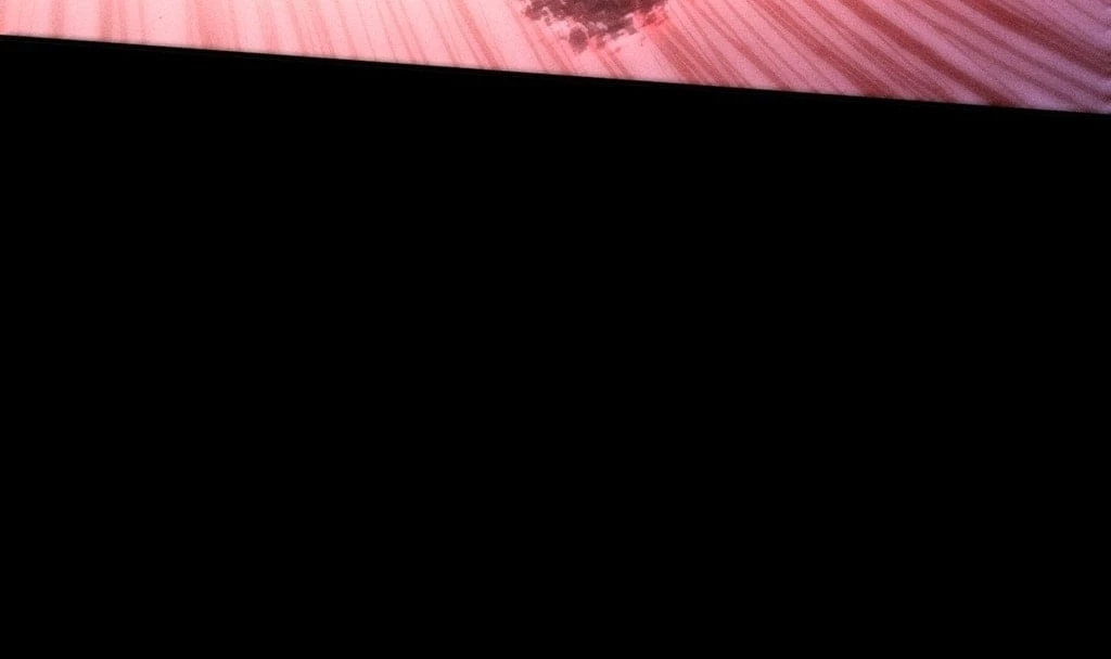 Sinister Immortal Path Chapter 25 - 91