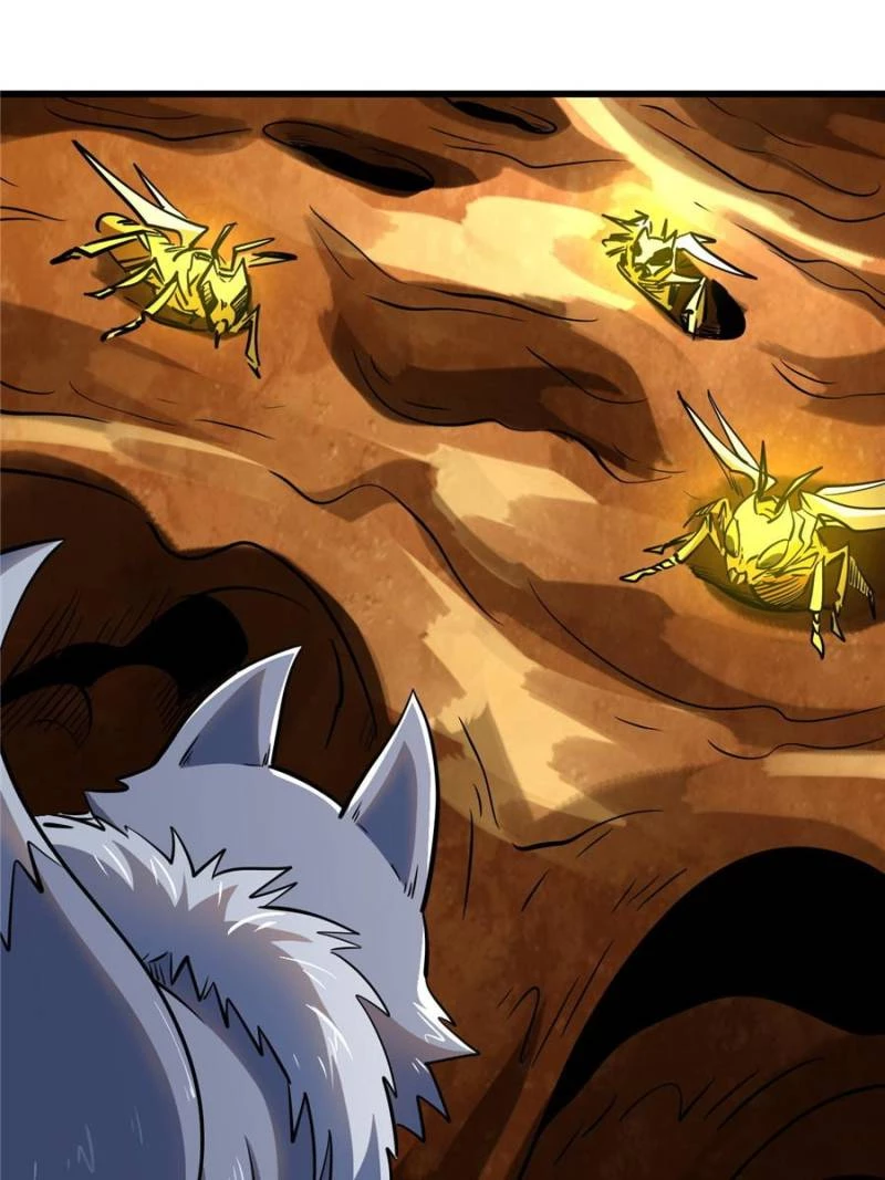 Super Gene Chapter 293 - 37