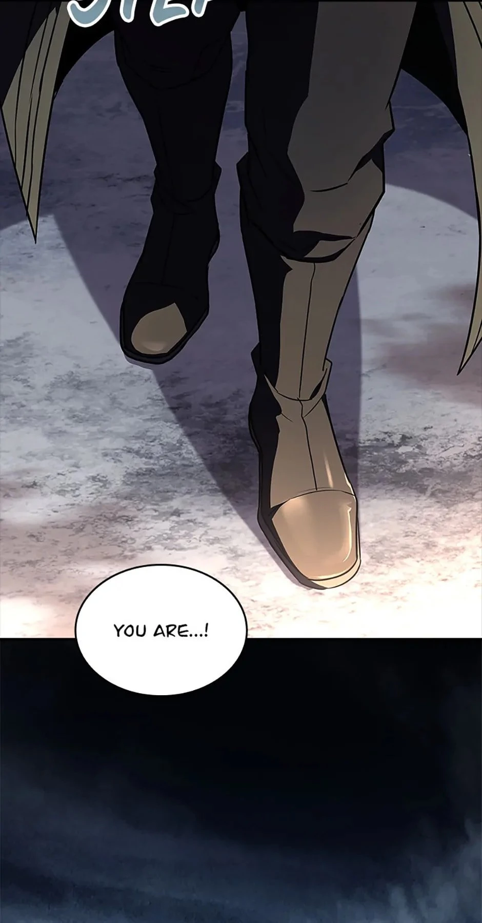 Demon Devourer Chapter 95 - 94
